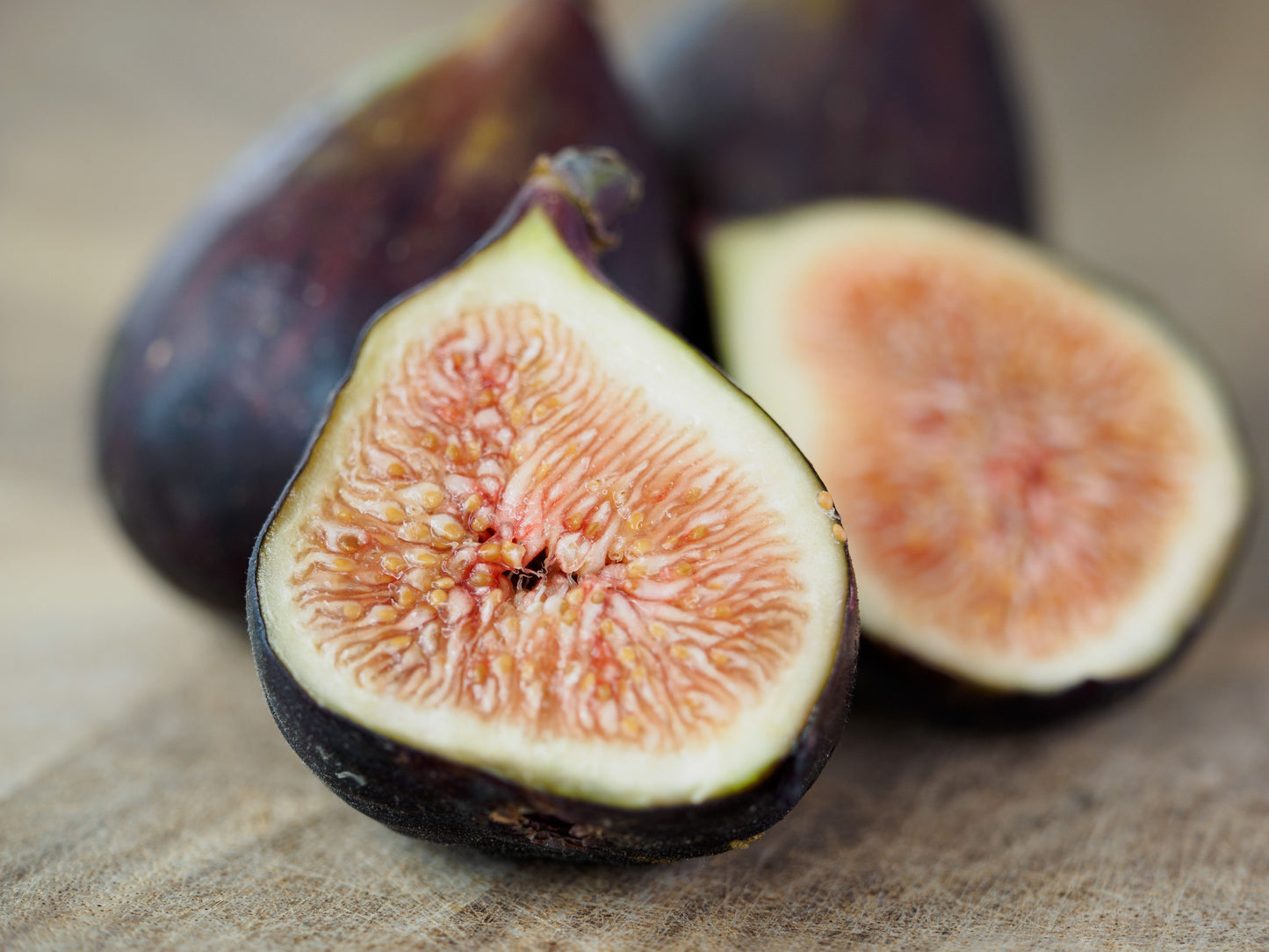 Olympian Fig Tree Live Plant Ficus Carica Fruit Tree 1 Quart Grow Bag Edible Garden Plant