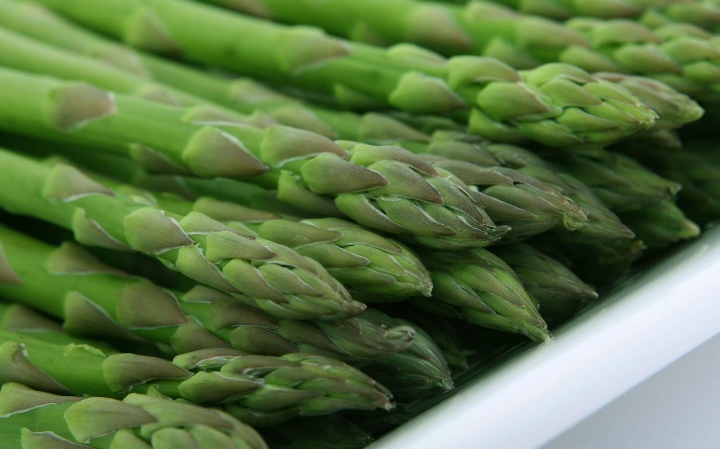 Millennium Asparagus 5 Bare Root Crowns – 2 Year Old Live Plants – Asparagus officinalis