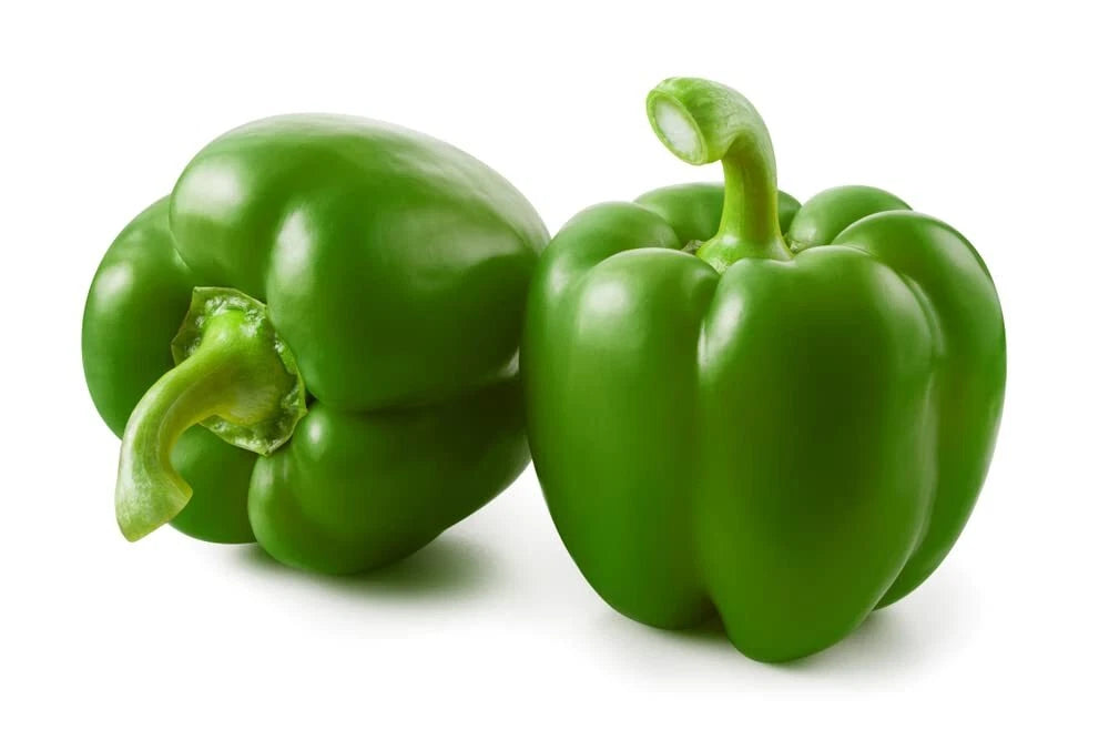 Large Green Pepper Seeds - 100+ Seeds - Versatile Capsicum annuum for Planting and Culinary Use