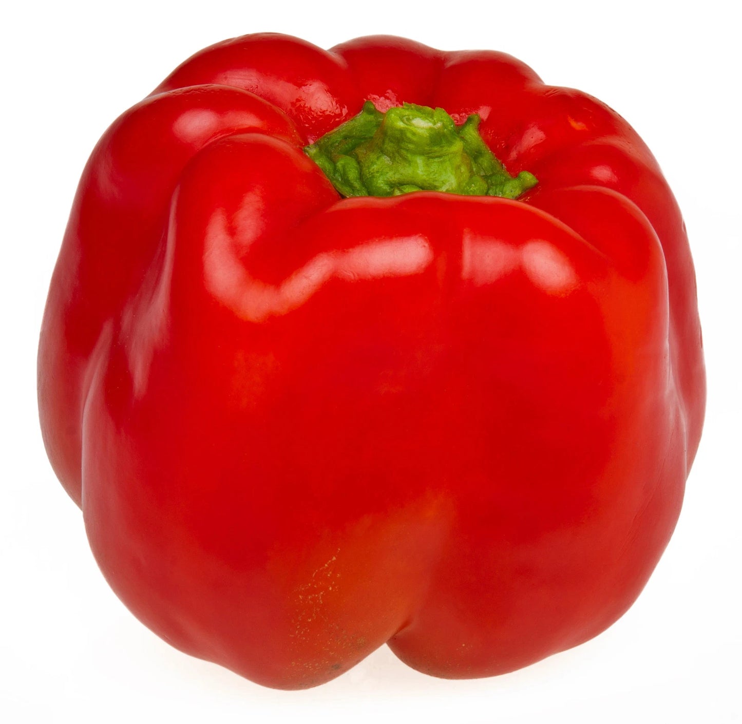 Big Red Sweet Pepper Seeds - Blocky Large Fruit - Very Sweet - Thick Flesh - Capsicum annuum - 20 Seeds