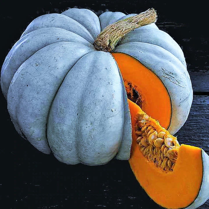 Jarrahdale Blue Pumpkin Seeds - Heirloom Variety for Big Winter Squash - 10+ Seeds - Cucurbita maxima