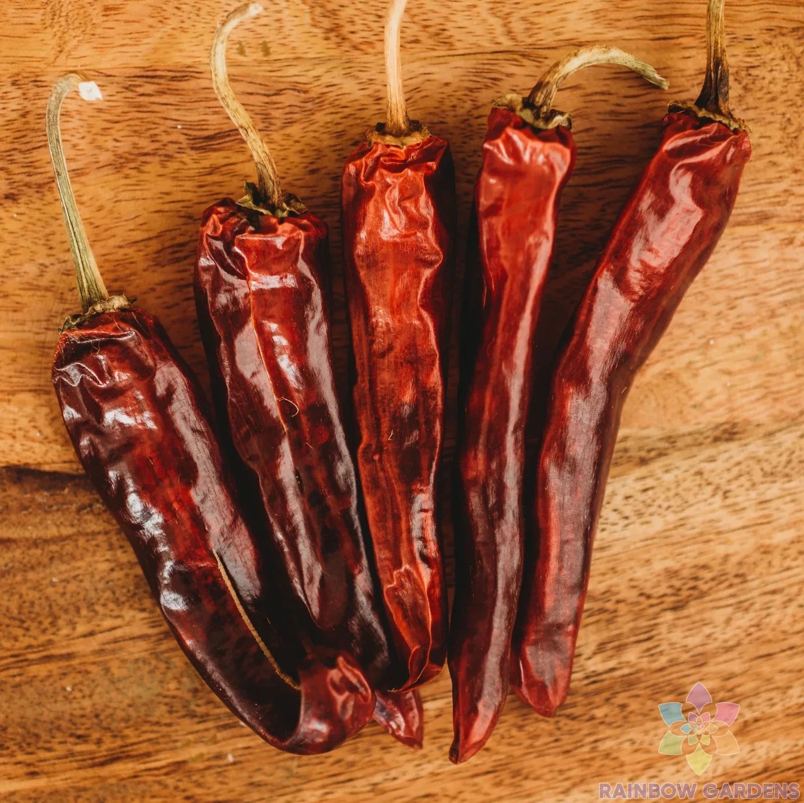 dry chilli seeds for planting Mulato Chile Sweet Pepper Seeds - 25+ Pack for Garden Planting - Capsicum  annuum