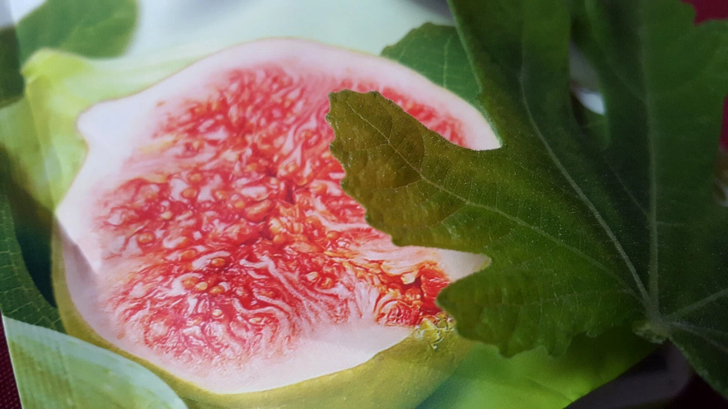 Jerusalem Fig Seeds 100 Count - Ficus carica - Organic Fruit Seeds for Home Garden