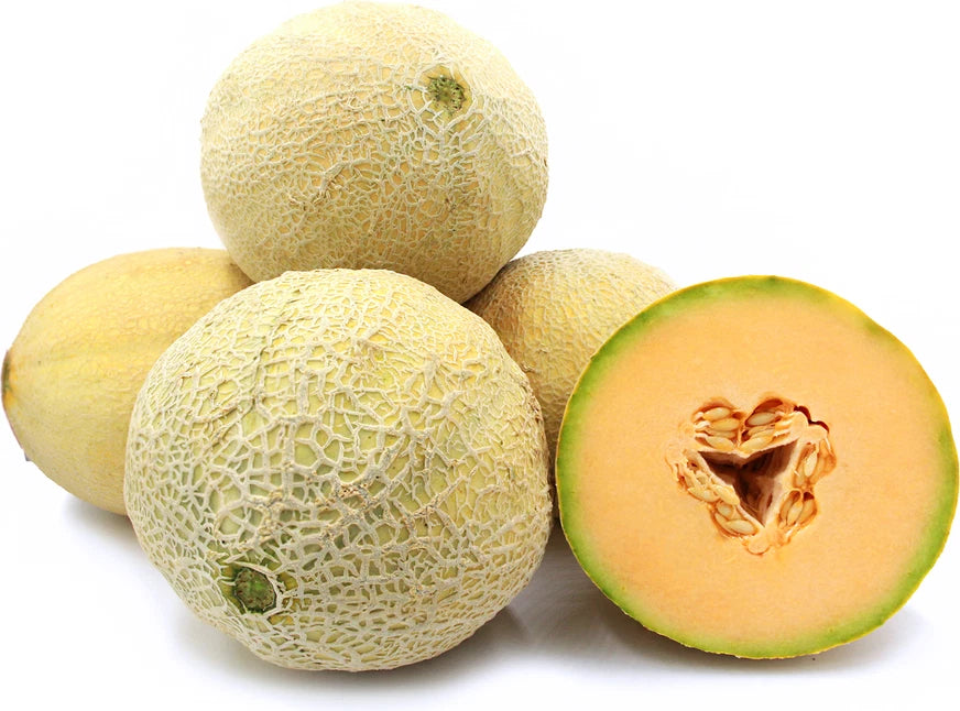 Cantaloupe Seeds - 25+ Athena Cantaloupe Seeds, Fresh Seed for Planting - Cucumis melo
