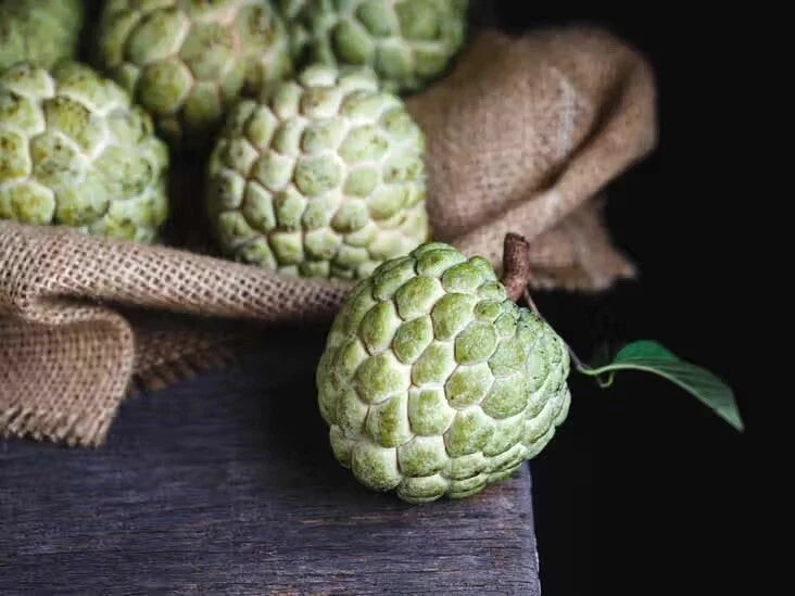 Cherimoya Seeds - 5 Organic Custard Apple Seeds for Sweet Fruit Garden - Annona cherimola - Easy to Grow, TX USA