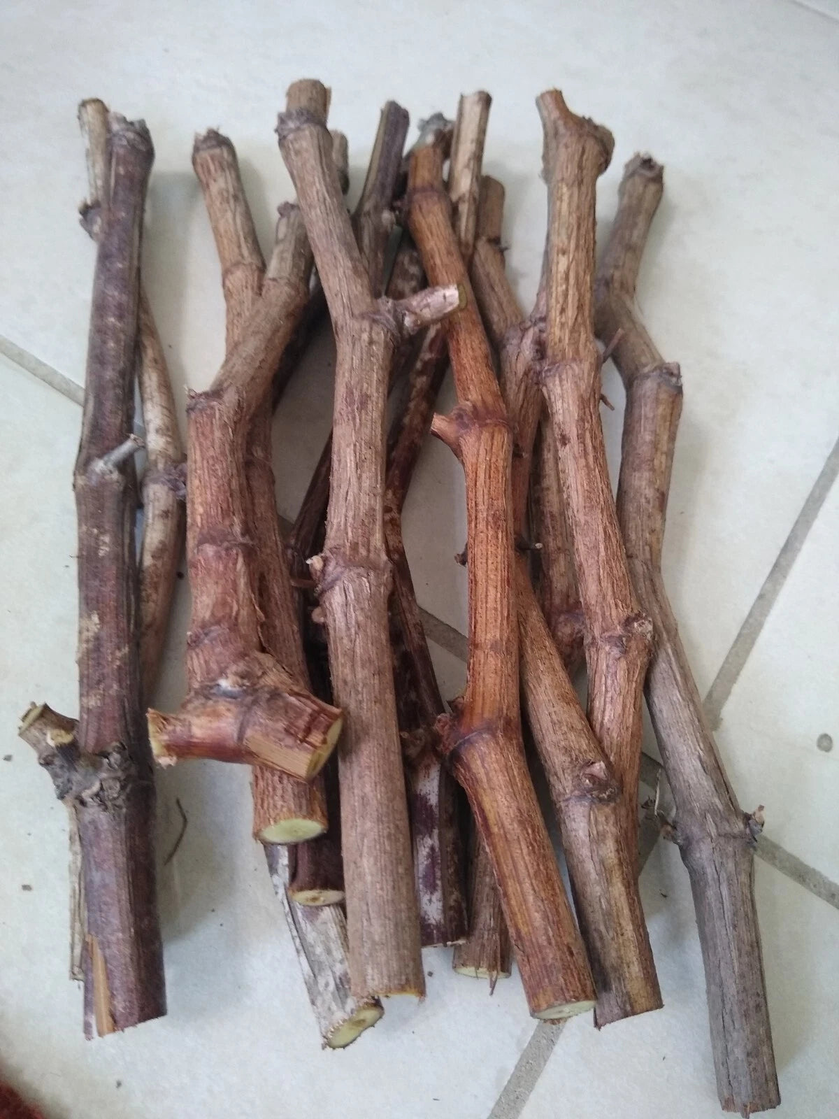 6 Crimson Red Seedless Grape Vine Cuttings β Unrooted, Fresh Table Grape Vines, Vitis vinifera, Sweet Large Fruit Variety