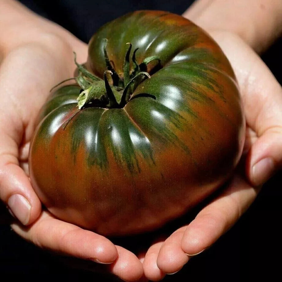 Russian Black Krim Tomato Seeds - 120+ Non-GMO, Organic, Heirloom Variety - Perfect for Home Gardening