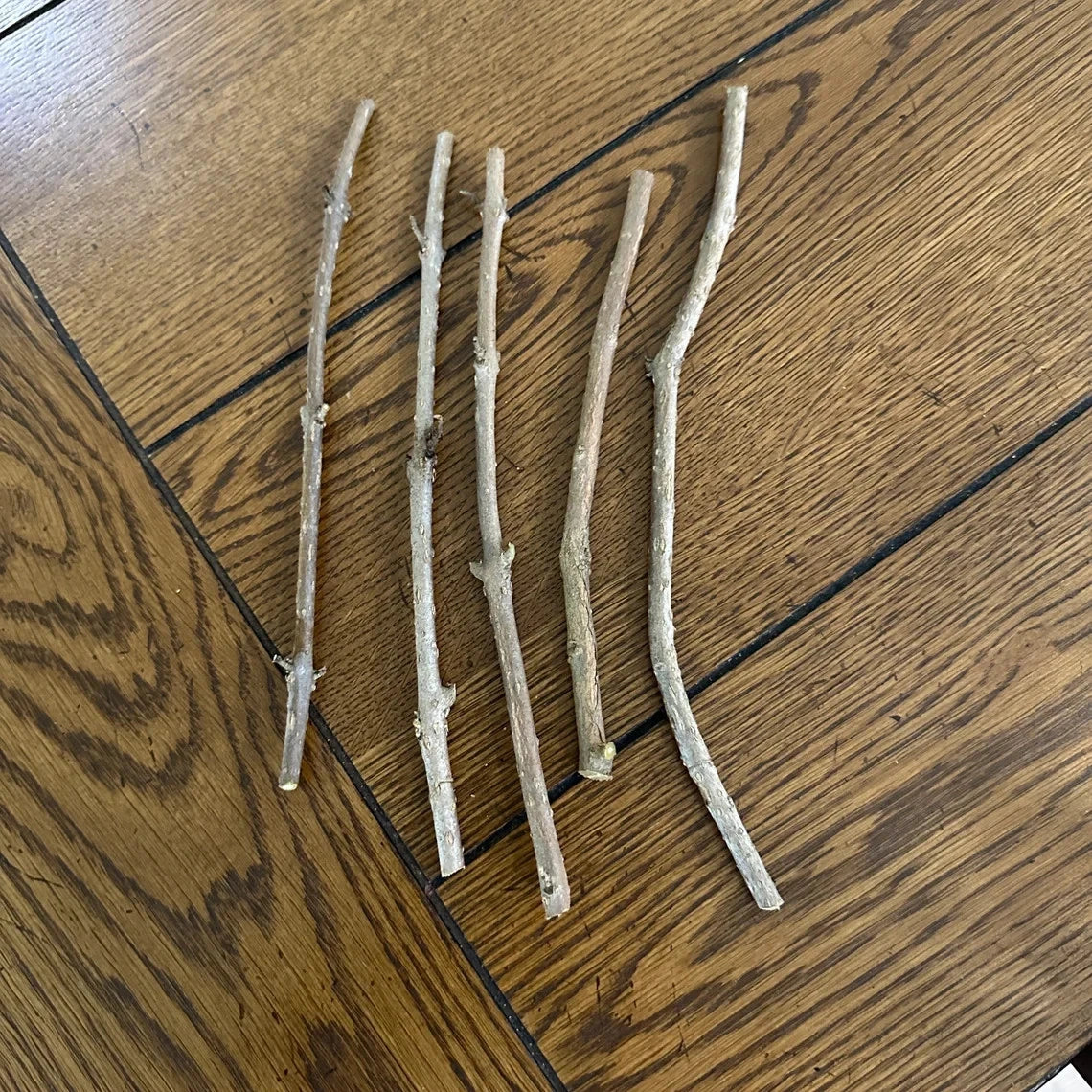 12 American Beautyberry Cuttings ā Callicarpa americana Live Plant Starter, Purple Berry Shrub, Wildlife Friendly, No Roots