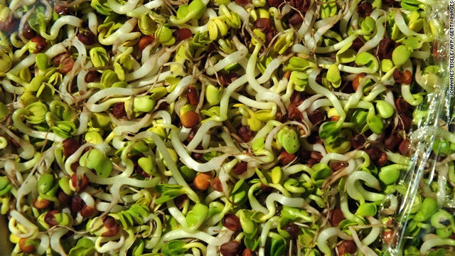 Bulk Sprouting Mix 2000g Health Blend Powerhouse of Nutrition - Nutrient-Rich Seeds for Sprouting