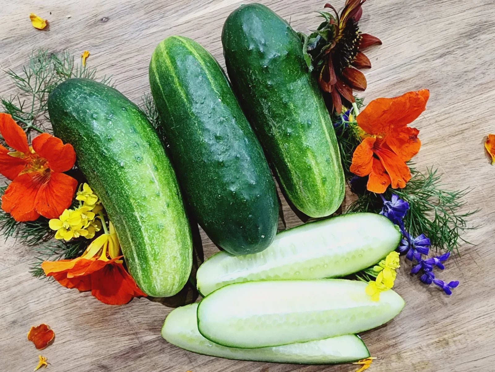 wisconsin garden seeds Wisconsin SMR-58 Cucumber Seeds - 200+ Heirloom Organic Non-GMO Pickling Seeds