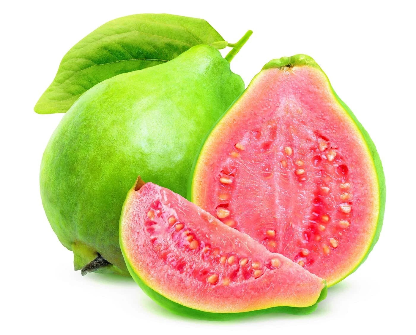 Guava Fruit Tree Seeds - Tropical Exotic Fruit for Planting - Psidium guajava - Great for Home Gardening