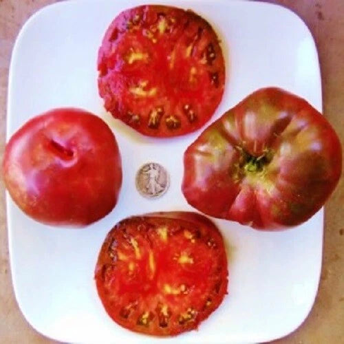 Black From Tula Seeds - Russian Beefsteak Variety - +25 Heirloom Seeds - Perfect for Home Gardening