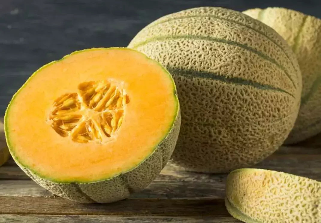 25+ Honey Rock Cantaloupe Seeds - Heirloom Organic Non-GMO Melon - Cucumis melo