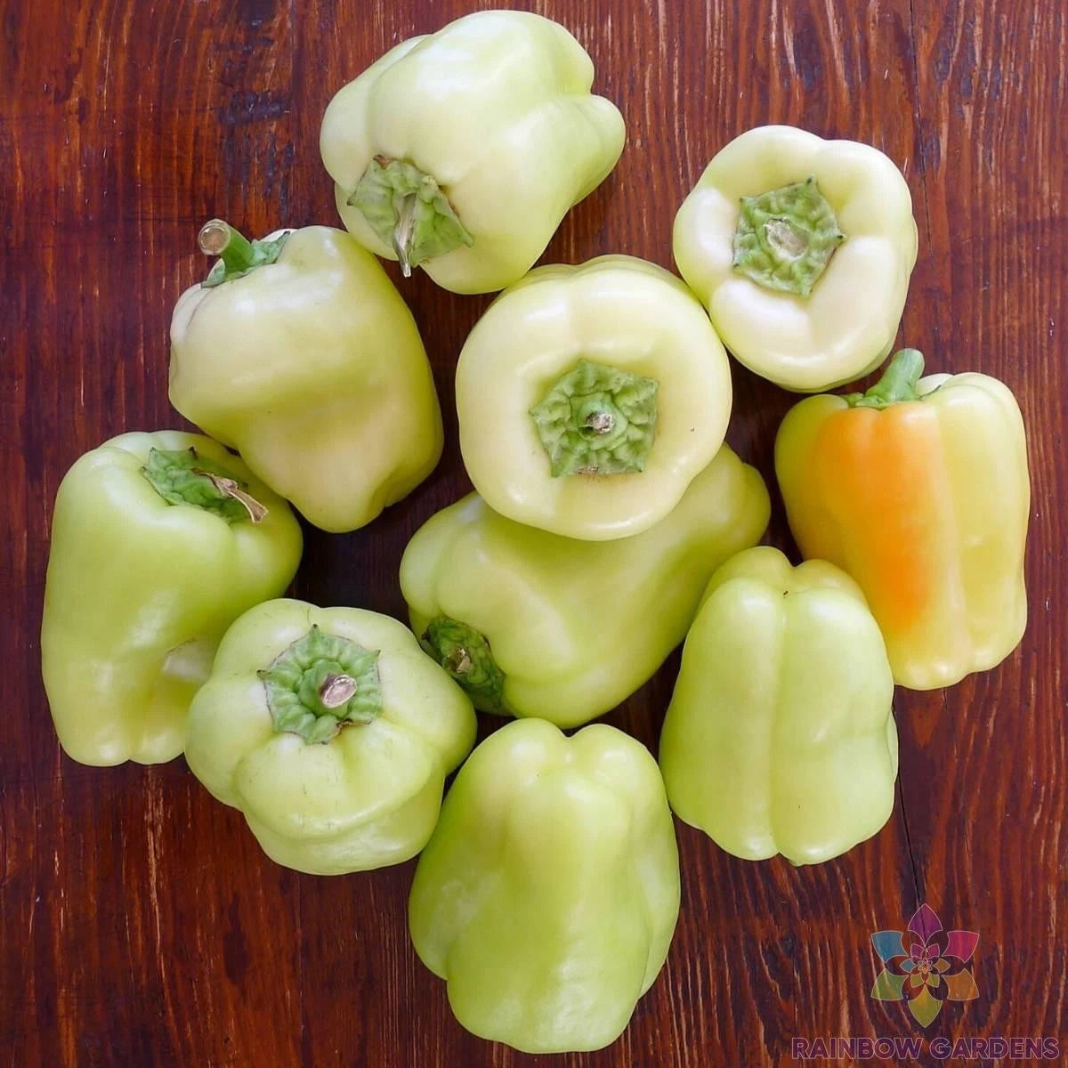 25+ White Bell Sweet Pepper Seeds - Capsicum annuum - Garden Planting - USA - Non-GMO