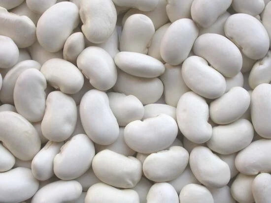 Kidney Bean Seeds - California White Variety - Organic Planting Seeds - Phaseolus vulgaris