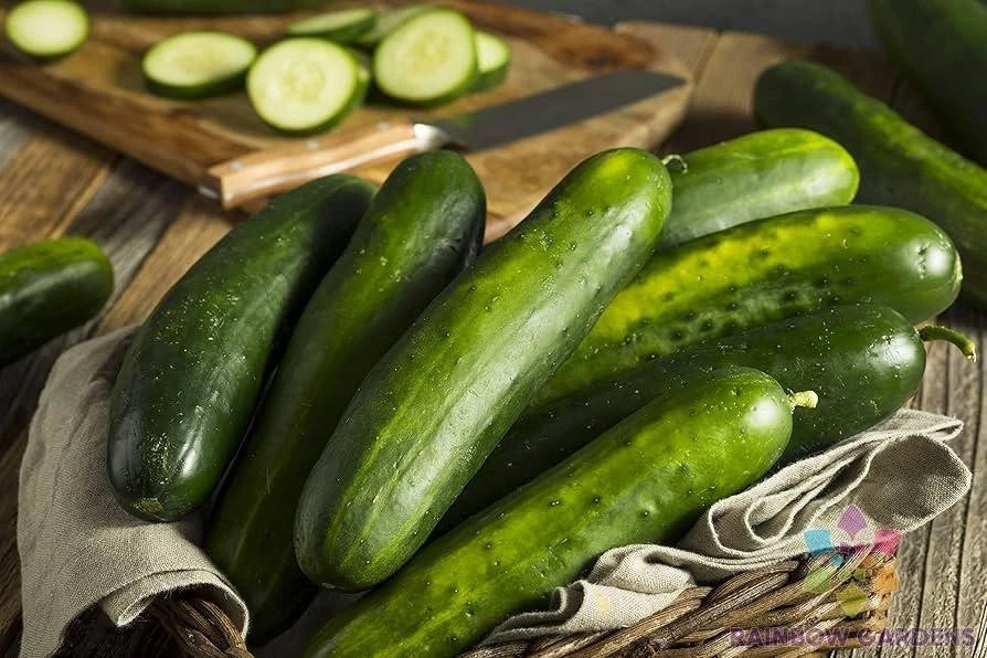 25+ Sweeter Yet Cucumber Seeds for Garden Planting - Heirloom Variety - Cucumis sativus - USA Free Shipping