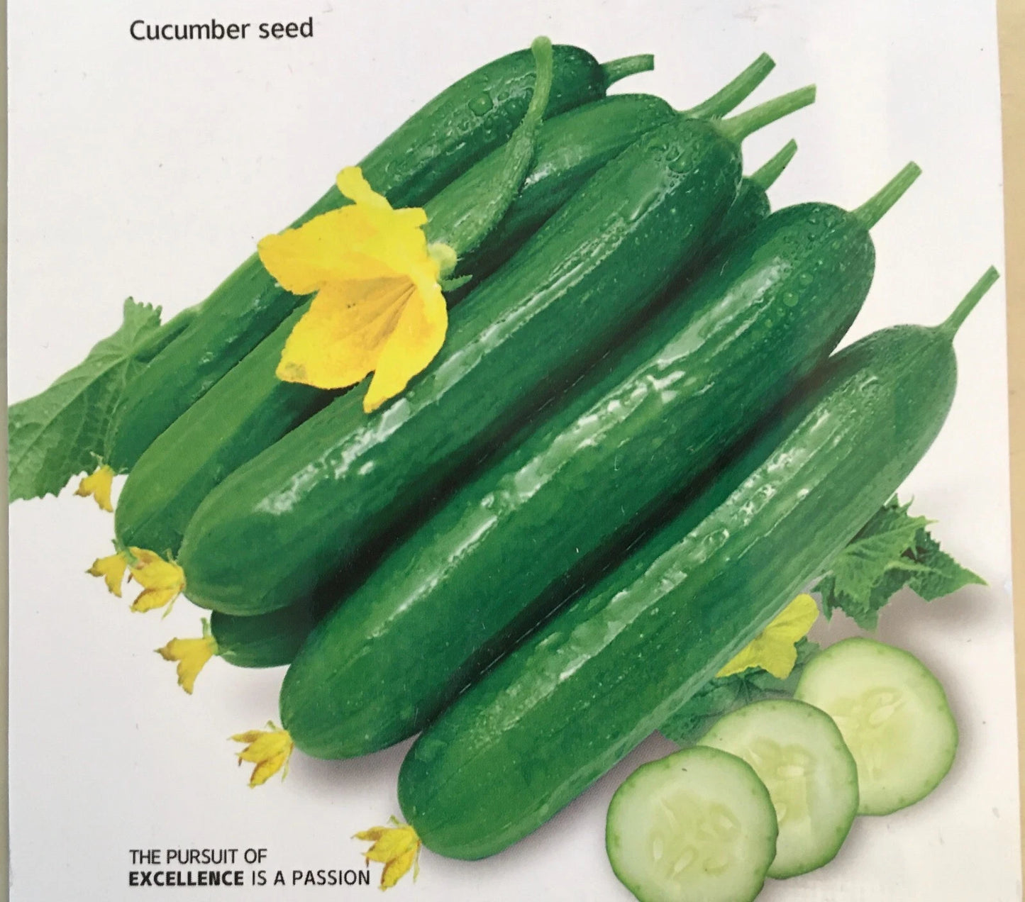 Chinese Fruit Cucumber Seeds - Burpless Hybrid Mini Cucumber (Cucumis sativus) - 15+ Seeds USA