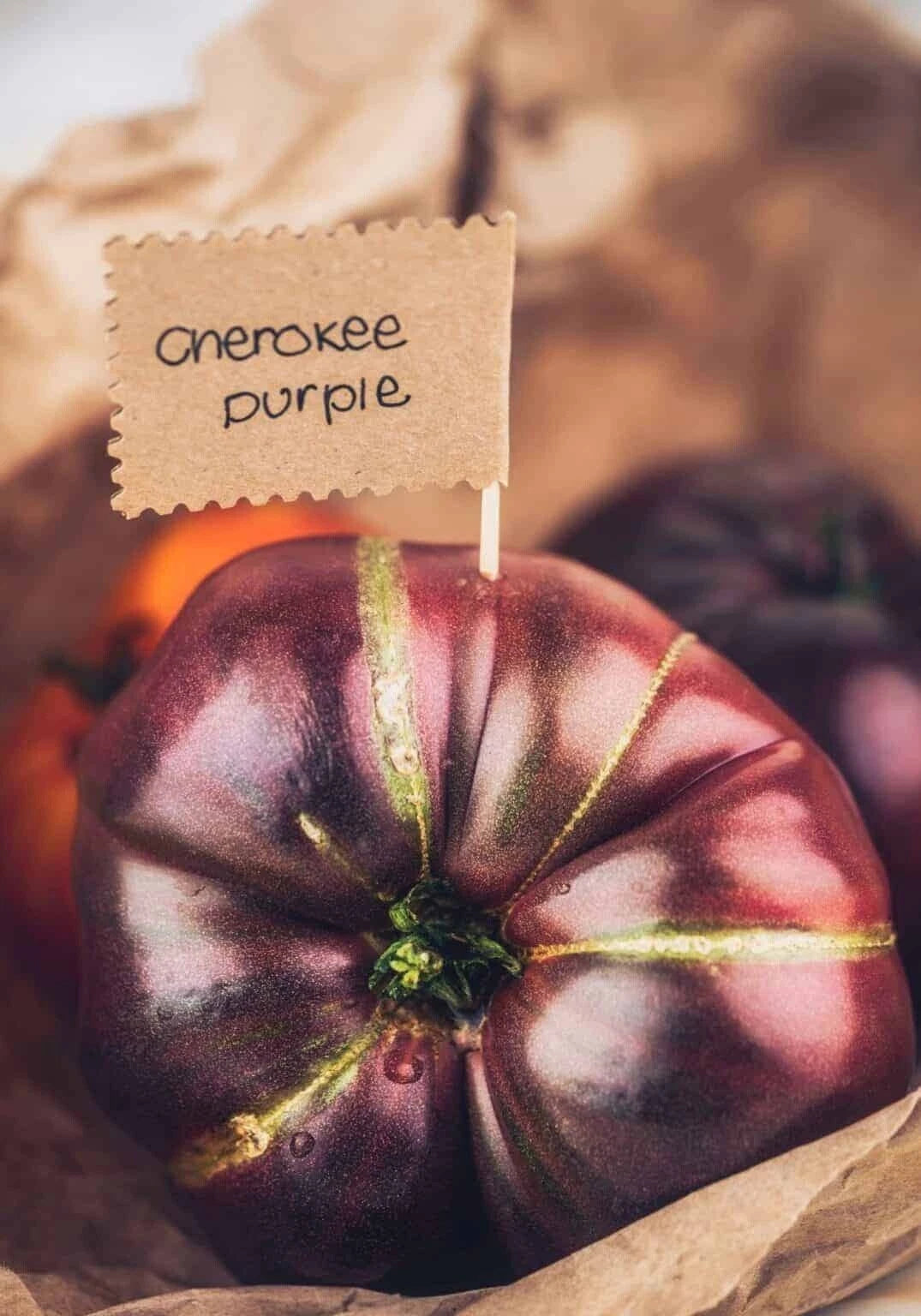 Cherokee Purple Tomato Seeds - Heirloom, Non-GMO, Organic - 30+ Fresh Seeds for Planting (Solanum lycopersicum)
