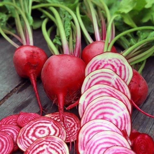 Chioggia Beet Seeds - 200 Non-GMO Heirloom Seeds - Beta vulgaris - USA Seller