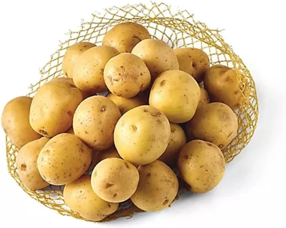 Vista Gold Mini Seed Potatoes for Planting - Small Size - Yellow Skin Variety - Solanum tuberosum