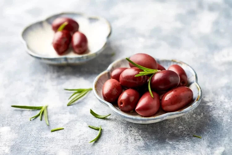 Kalamata Olive Seeds - 10+ Count - Garden Planting - Olea europaea