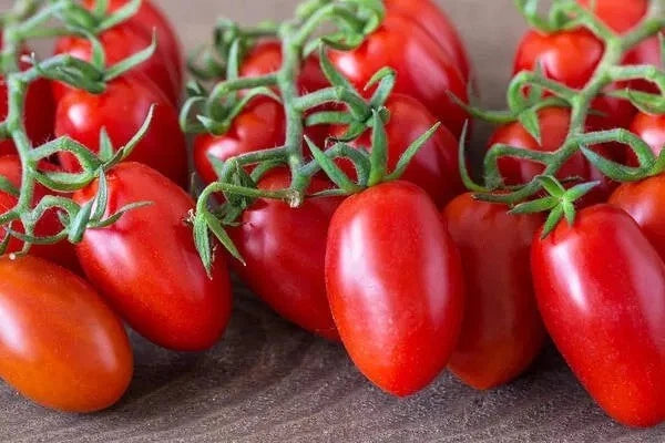 30+ Organic Heirloom Roma Tomato Seeds - Non-GMO, Fresh - Solanum lycopersicum