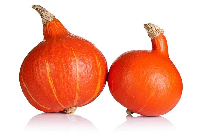 Ambercup Squash Seeds - 25+ Pack for Garden Planting - Cucurbita maxima - Heirloom Variety - USA