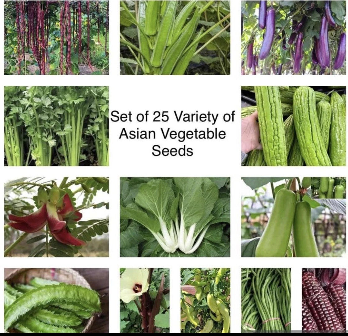 Asian Vegetable Seeds - 25 Packets for Planting - Variety Mix - Non-GMO, Heirloom, USA Seller