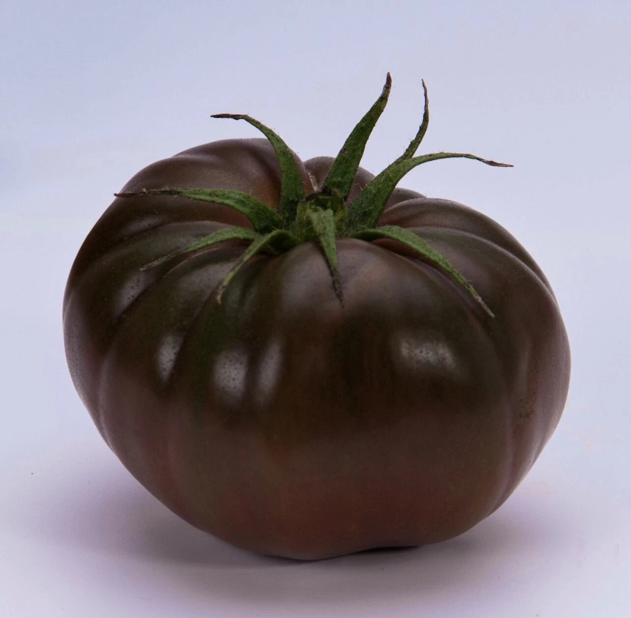 Cherokee Purple Tomato Seeds - 30+ Organic Heirloom Seeds (Solanum lycopersicum) - Native American Variety, Free Shipping