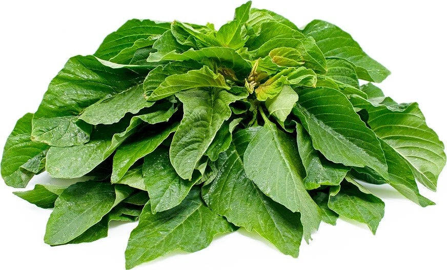 Amaranth Seeds - 100 Pack - Chinese Spinach - Edible Green Vegetable - Medicinal Health Food - Amaranthus spp.
