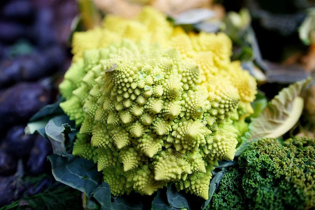 Romanesco Broccoli Seeds - 1000 Non-GMO Heirloom Seeds - Brassica oleracea - USA Seller, Free Shipping