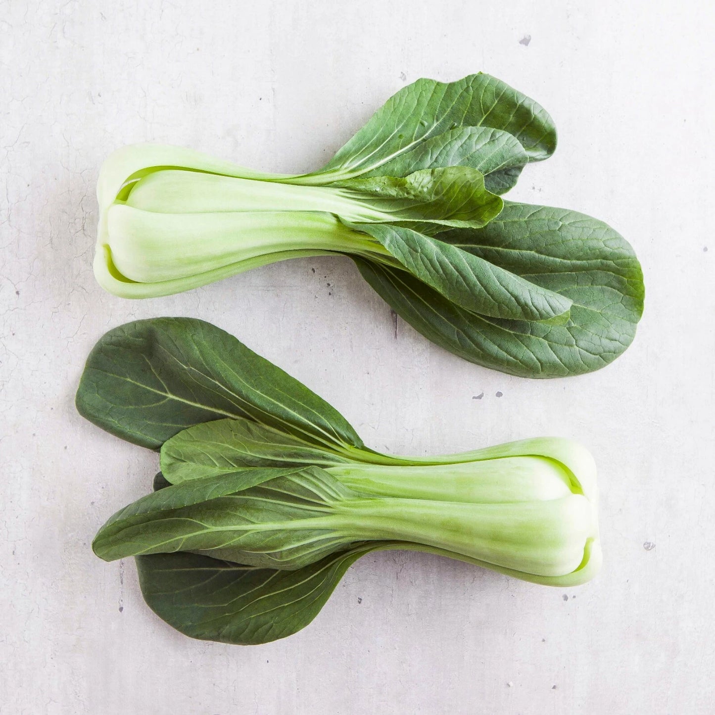 200+ Seeds Chinese Cabbage Pak Choi Mei Qing Choi Shanghai Qing Vegetable Brassica rapa subsp. pekinensis
