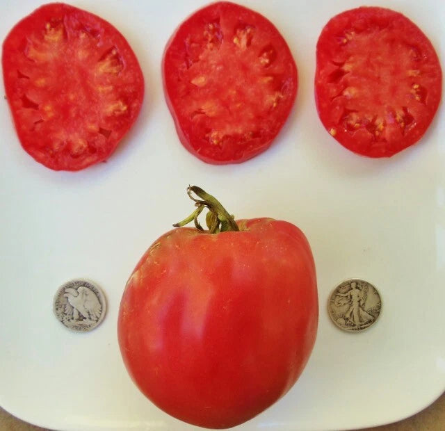 Hungarian Heart Tomato Seeds - 25 Count - Heirloom Oxheart Variety - Solanum lycopersicum