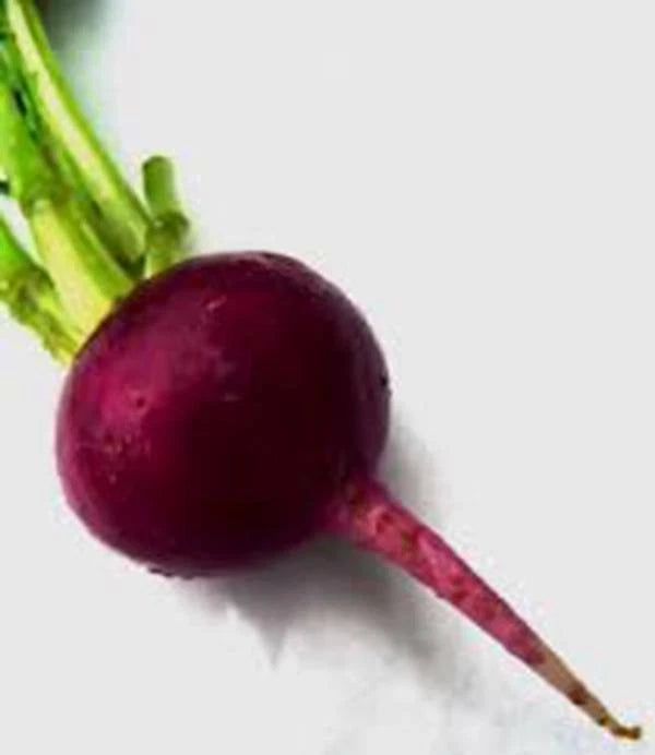 Beet Seeds - 50+ Heirloom Early Wonder Non-GMO Variety - Great Tasting Beta vulgaris