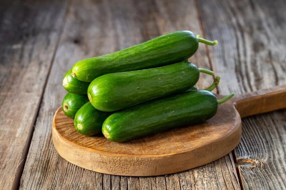 Mini Cucumber Seeds for Planting, 10 Seeds, Picolino Variety, 5-6 Inch Garden Vegetable, Cucumis sativus