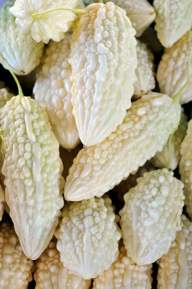 10 White Bitter Gourd Seeds - Exotic Bitter Melon for Planting (Momordica charantia)