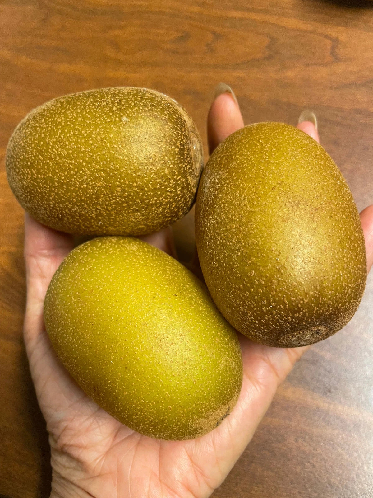 Golden Kiwi Fruit Seeds - 25 Pack - Yellow Actinidia Chinensis Flower Vine