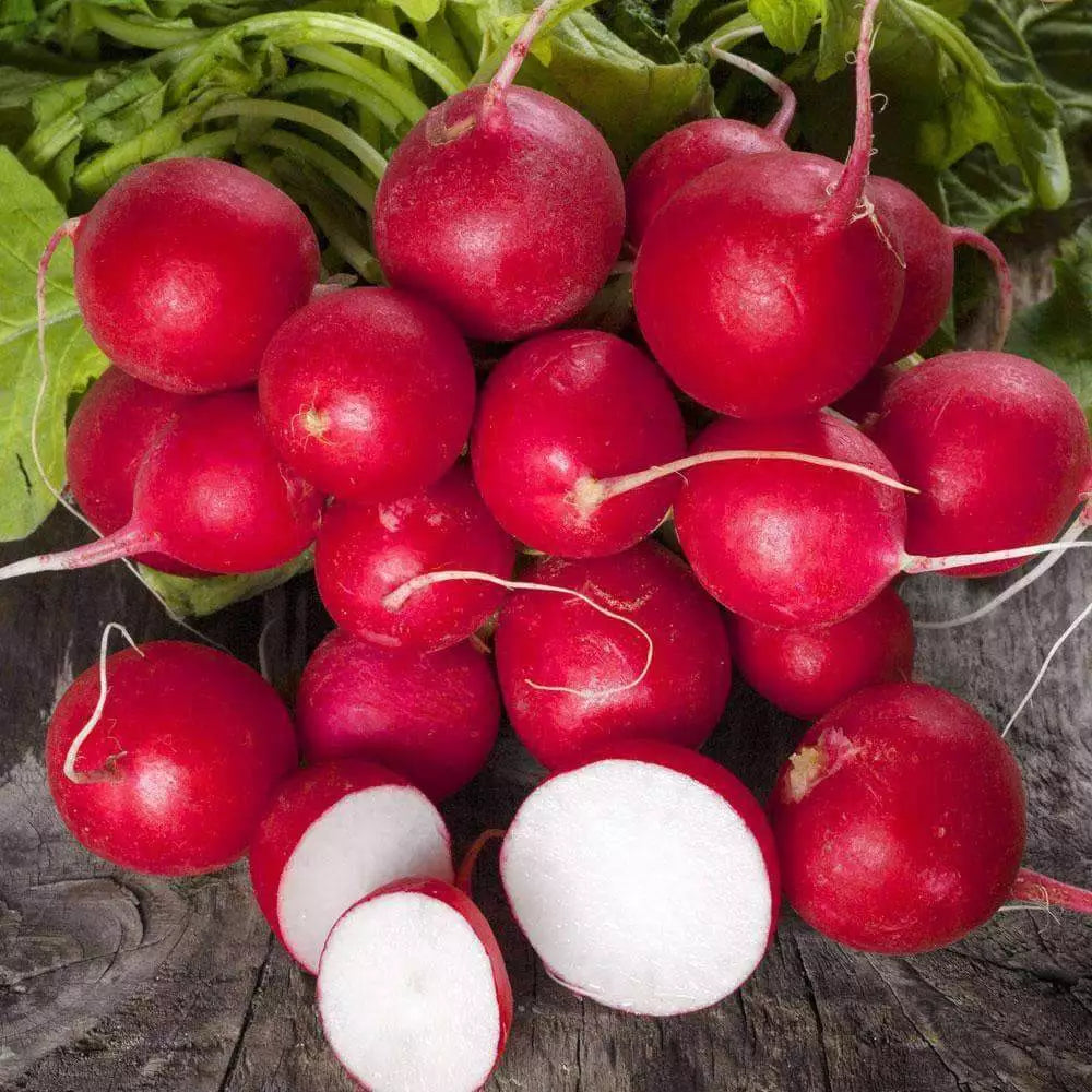 Cherry Belle Radish Seeds - 300+ Non-GMO Heirloom Garden Seeds - Raphanus sativus