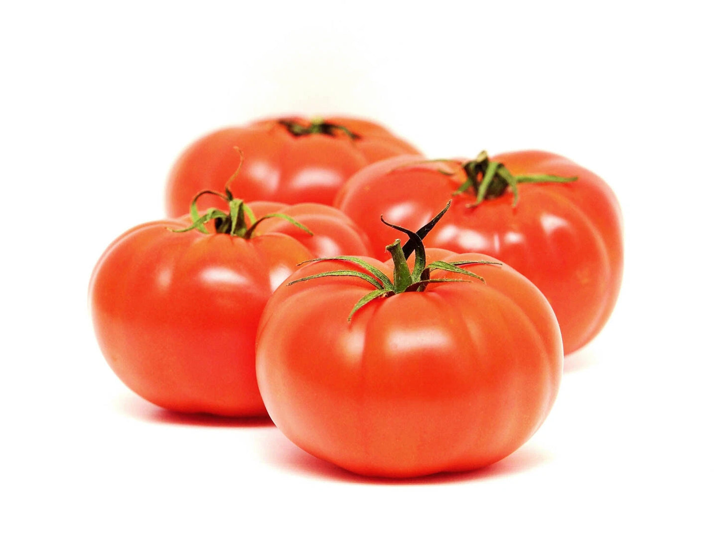 Big Beef Tomato Seeds - Fresh Heirloom Seeds for Home Garden - Solanum lycopersicum