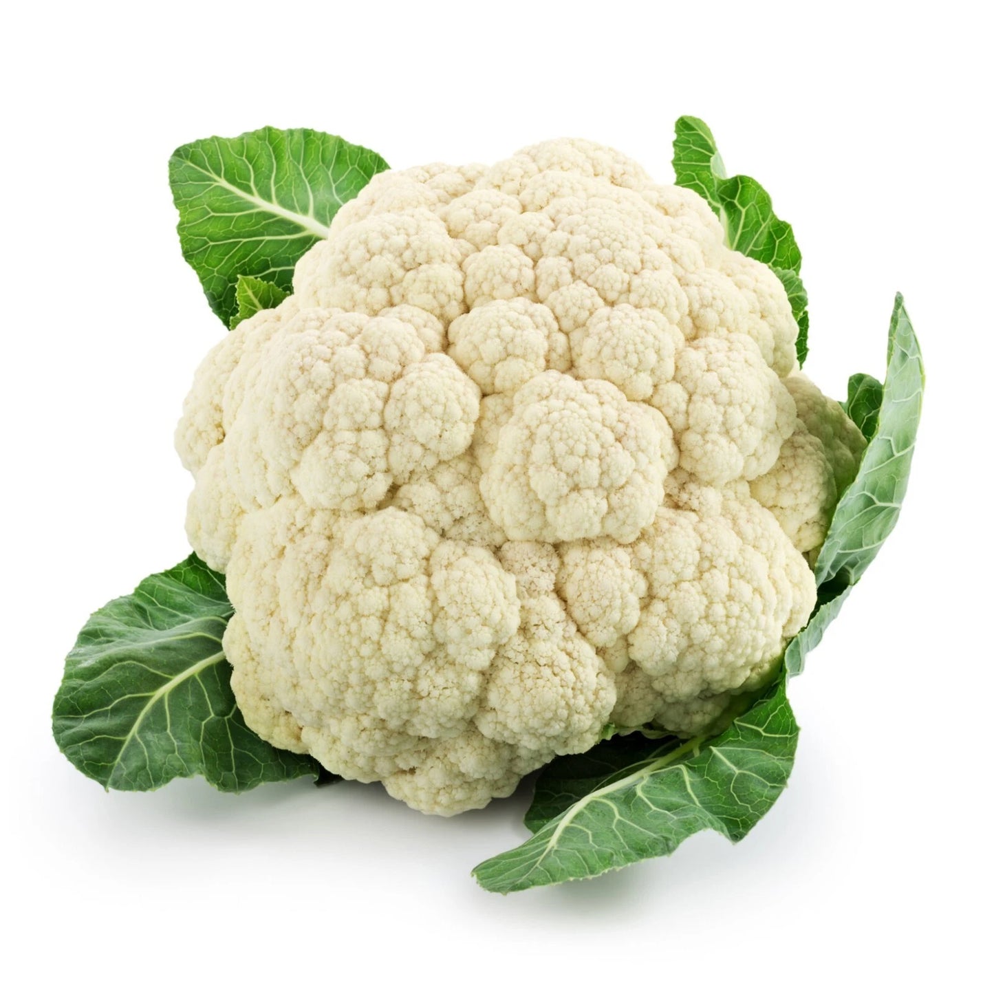 Cauliflower Seeds - Snowball Variety - High Germination Rate - Brassica oleracea