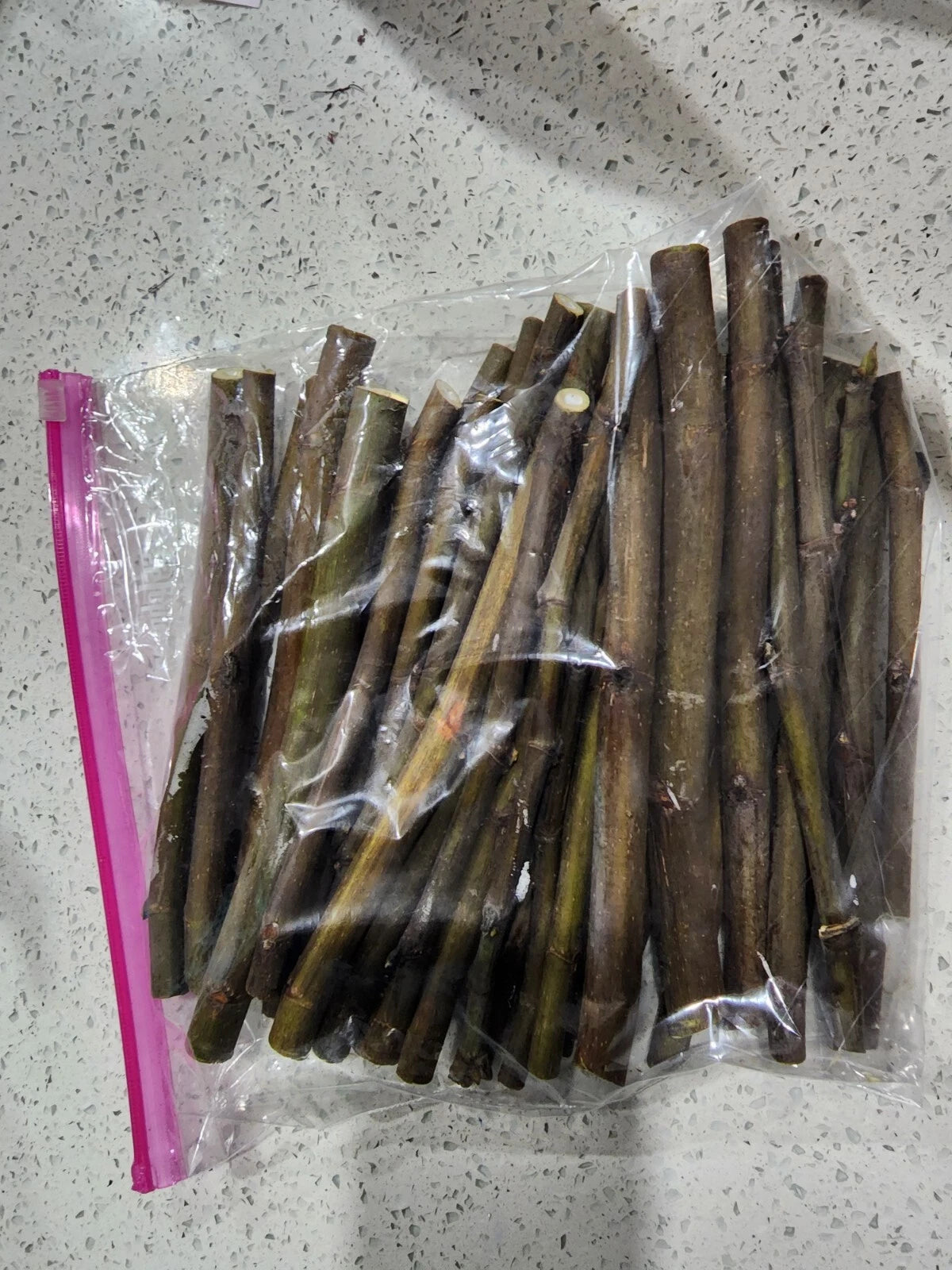 2 Smith Fig Tree Cuttings (6–8") – Fresh Unrooted Organic Cuttings from Fruiting Tree | Rare, Sweet Heirloom Variety for Propagation