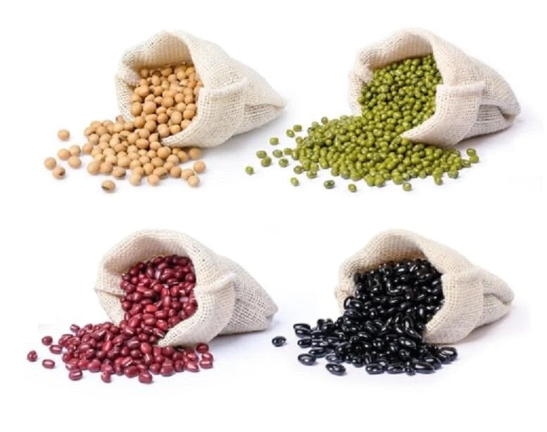 where to buy soybean seeds for planting Bean Bundle 400 Seeds