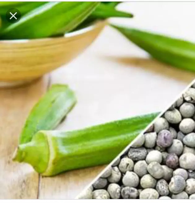 Texas Longhorn Okra Seeds - 50+ or 100+ Pack - Heirloom Variety (Abelmoschus esculentus)