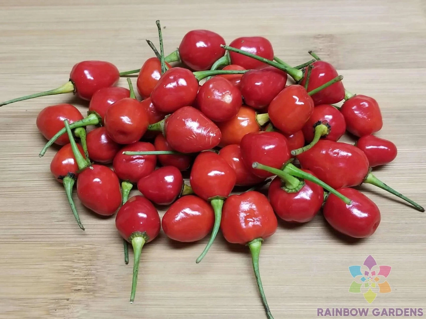 Guyana Wiri Wiri Hot Pepper Seeds - 25+ Count - Capsicum Chinense - Perfect for Garden Planting - USA Grown