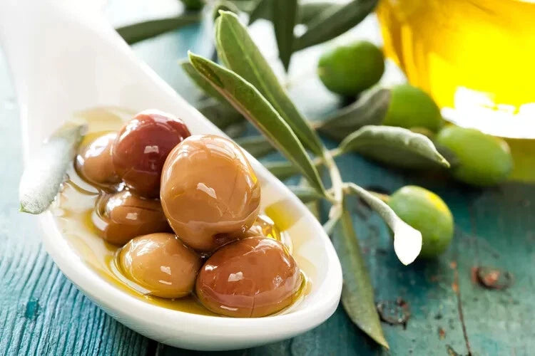 Arbequina Olive Seeds - 10+ Pack - Spanish Variety for Garden Planting -  Olea europaea - USA Grown  Jayme Garden