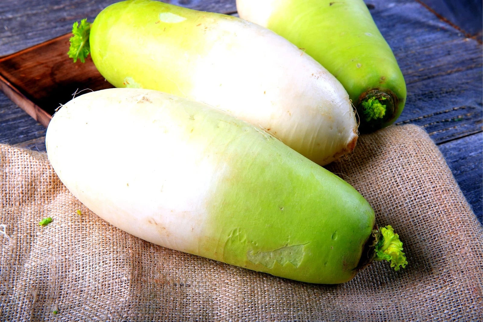 korean garden seeds Korean Radish Seeds - 100+ Seeds - Rare Garden Vegetable