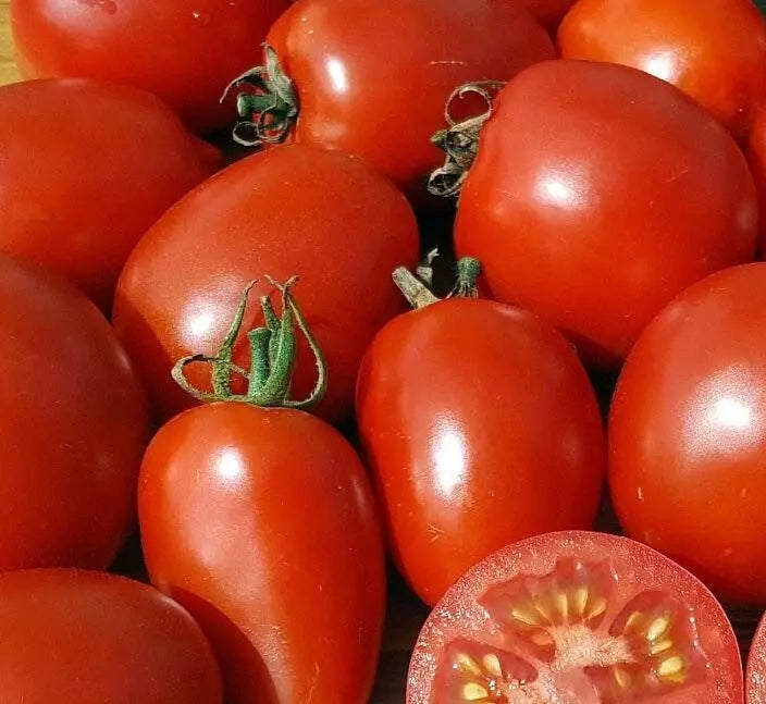 Amish Paste Tomato Seeds 20+ Indeterminate Heirloom Garden Vegetables Lycopersicon esculentum