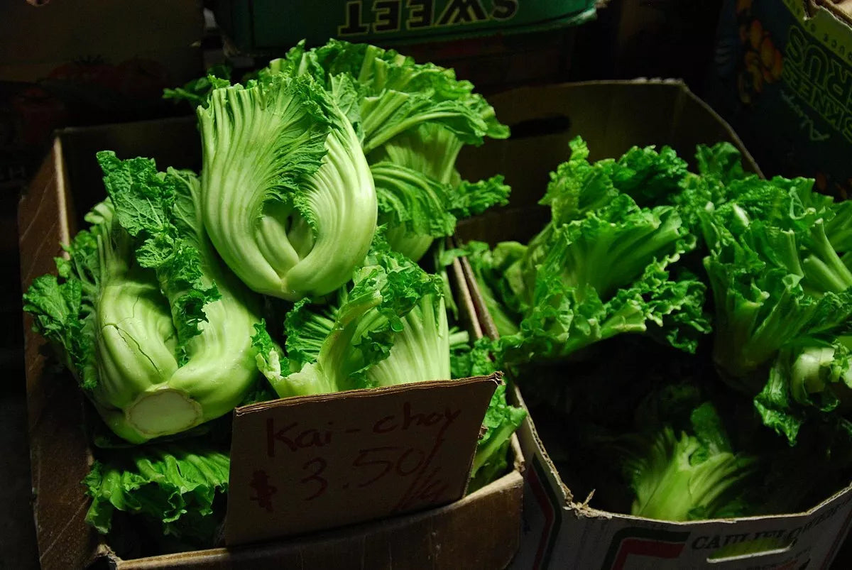 500 Seeds Oriental Mustard Gai Choy Brassica Juncea