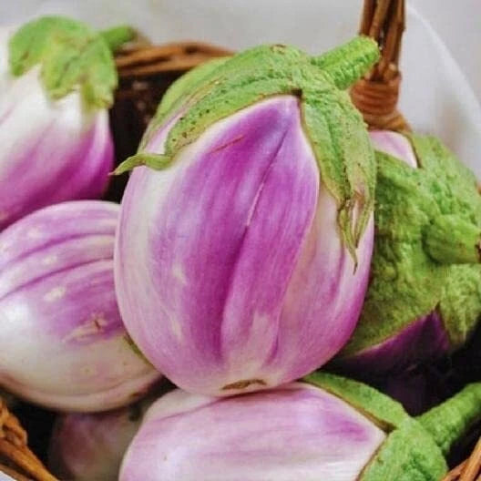 50 Rosa Bianca Eggplant Seeds, Heirloom, Non-GMO, Solanum Melongena, Italian Variety, Organic Gardening