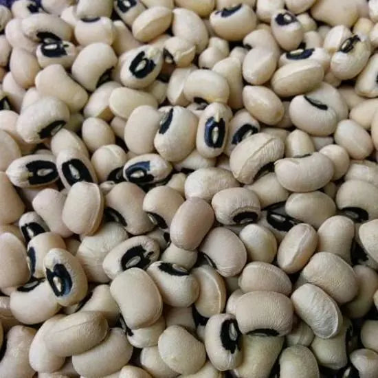 California Blackeye Cowpea Seeds 50 Ct | Heirloom Legume for Vegetable Garden | Vigna unguiculata